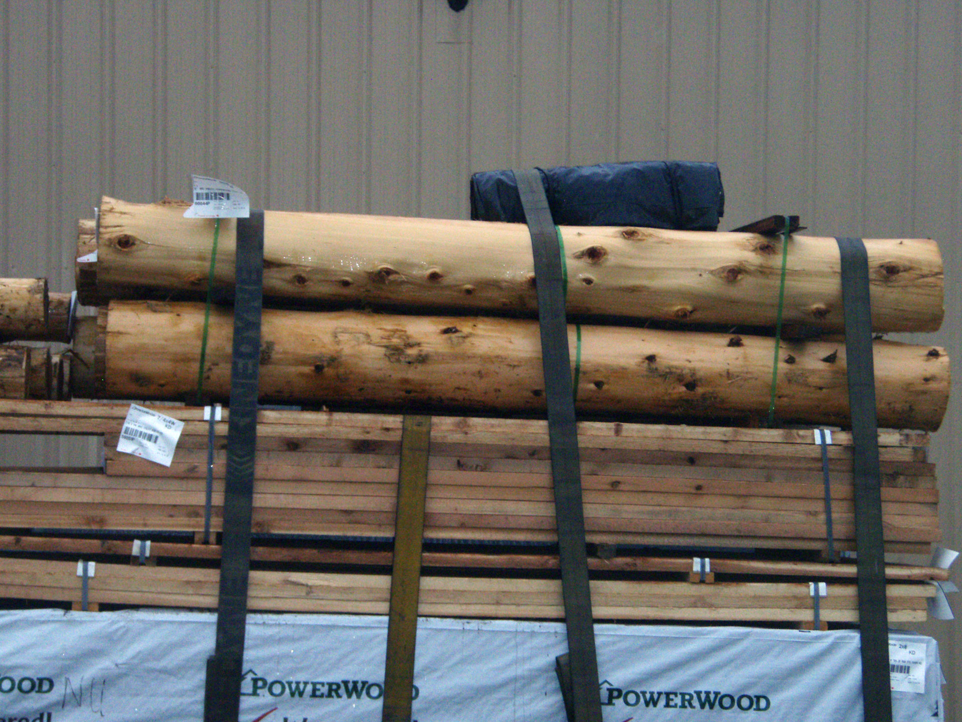 Wholesale Douglas Fir Log For Quality Floors And Surfaces